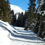 La Pineta بيت ضيافة بادولا