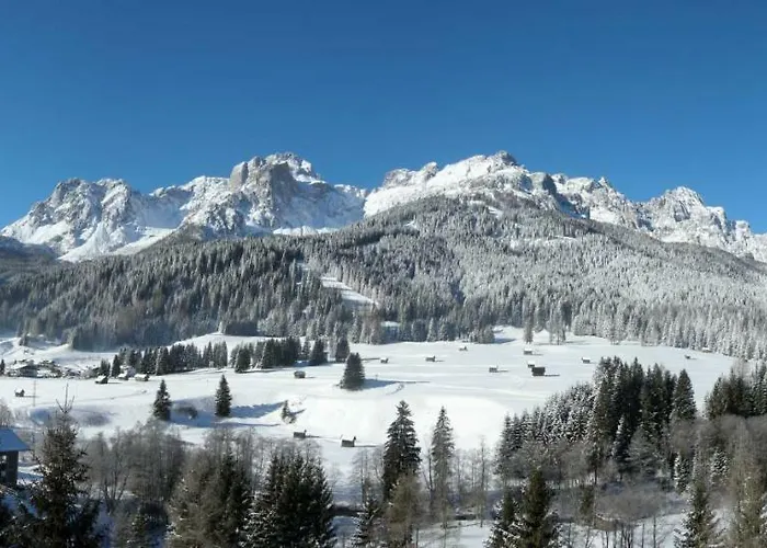 La Pineta